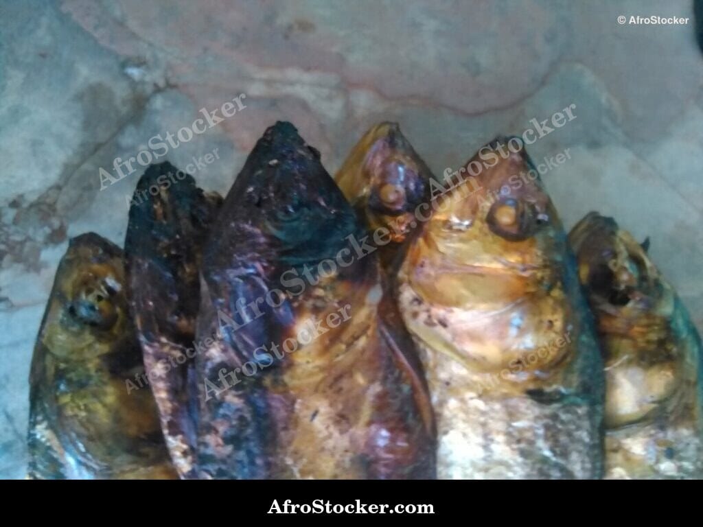 Smoked Dried Fish, African Tradition - AfroStocker