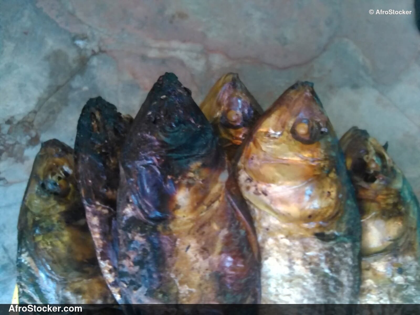 Smoked Dried Fish, African Tradition - AfroStocker