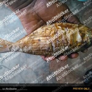 Traditional Dried Fish, African Cooking - AfroStocker