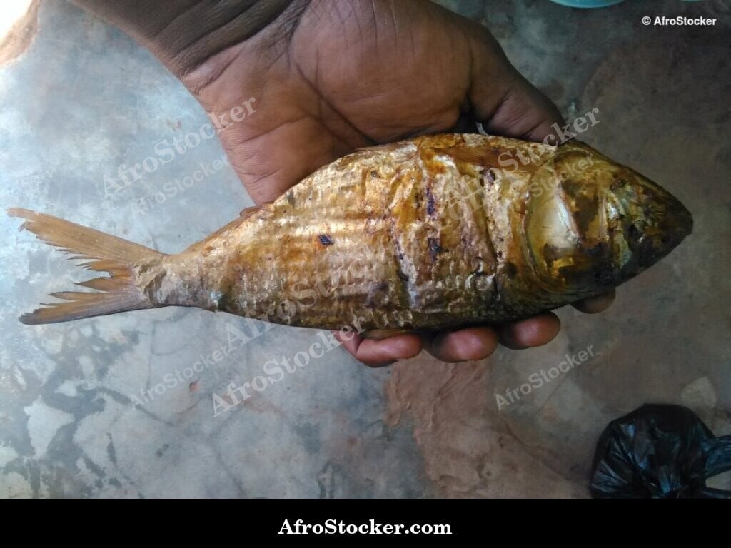 Traditional Dried Fish, African Cooking - AfroStocker