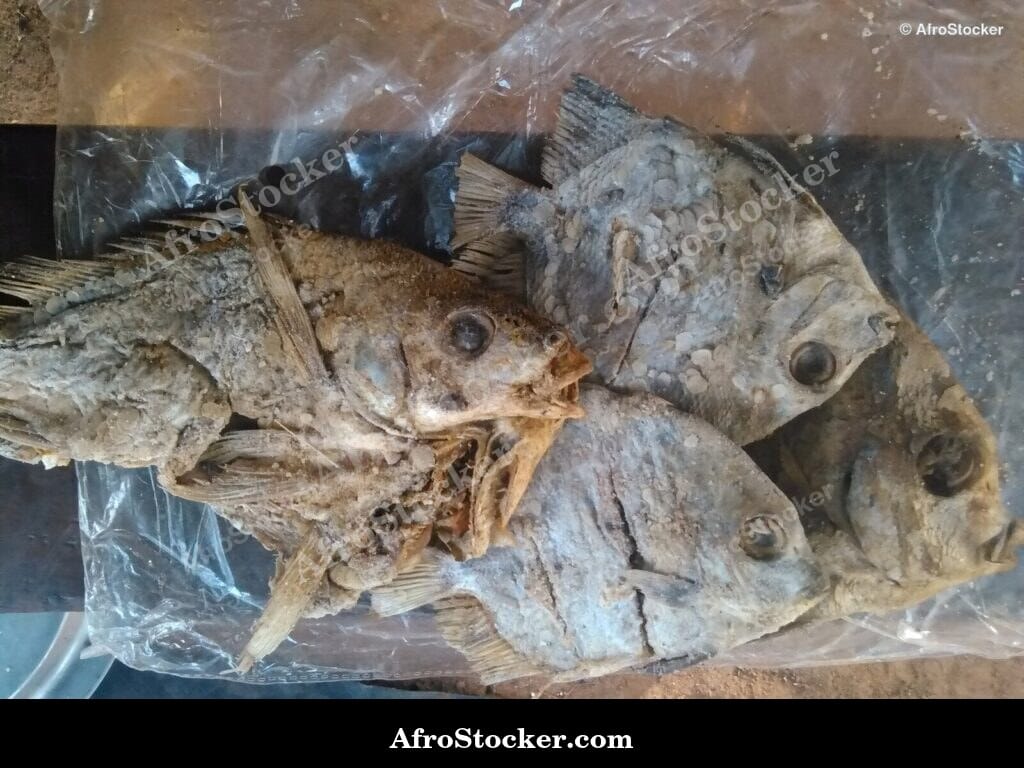 Dried Fish Sold at Market, Africa - AfroStocker