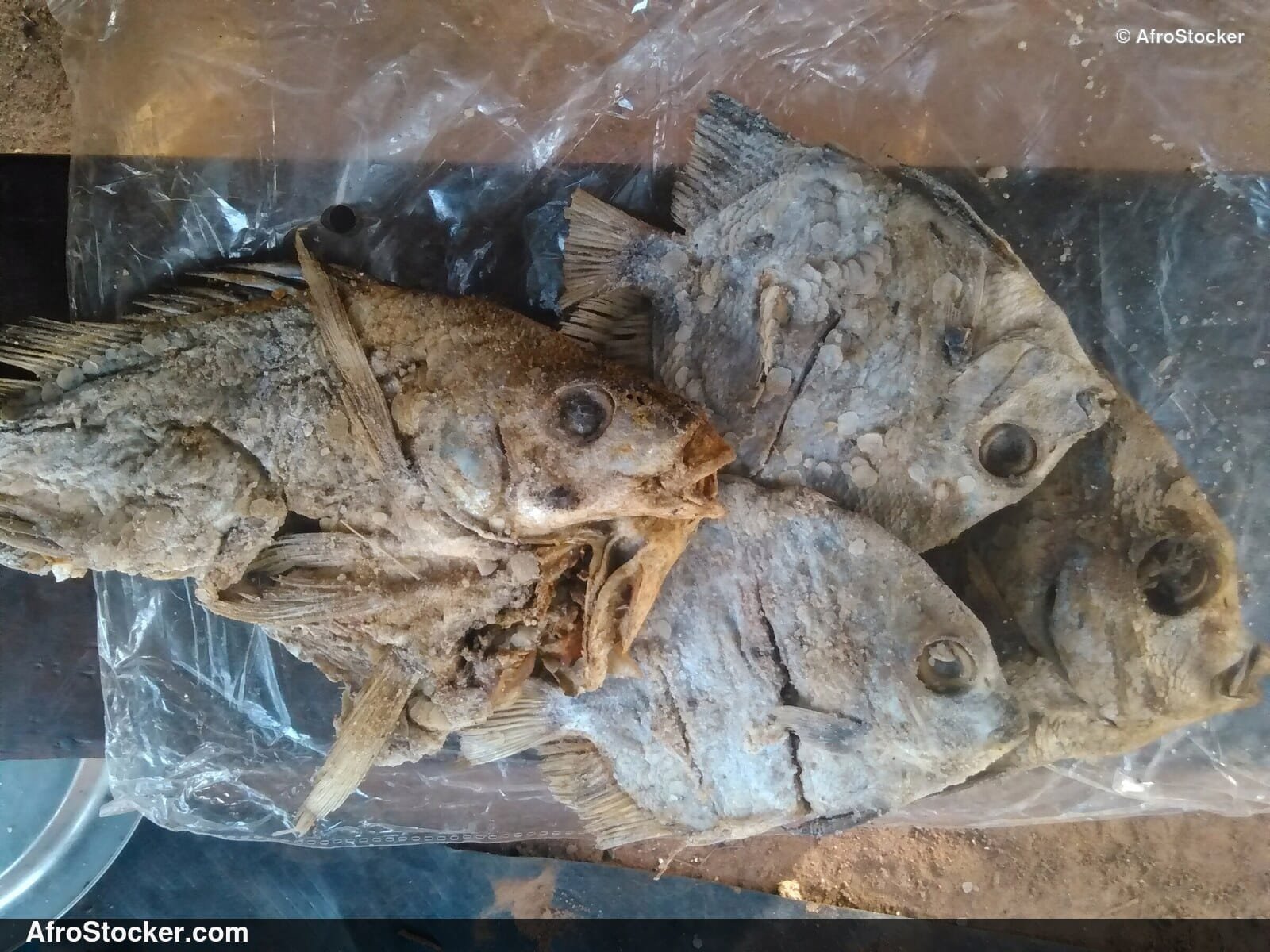 Dried Fish Sold at Market, Africa - AfroStocker