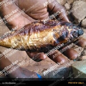 Dried Fish in African Village - AfroStocker