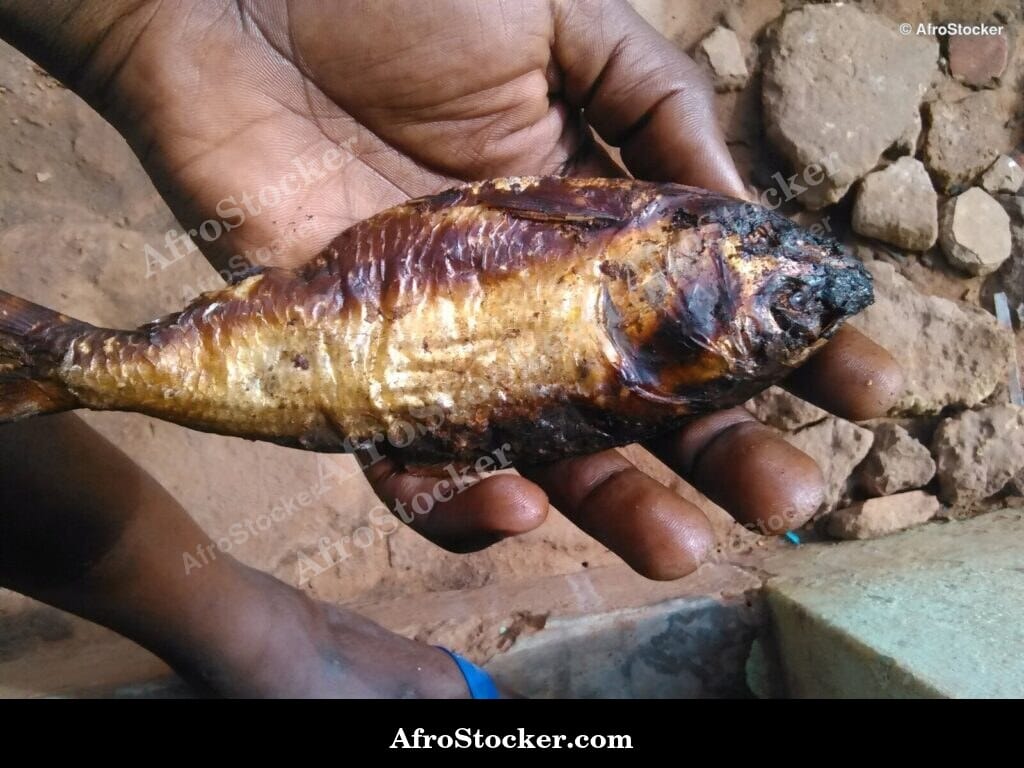 Dried Fish in African Village - AfroStocker