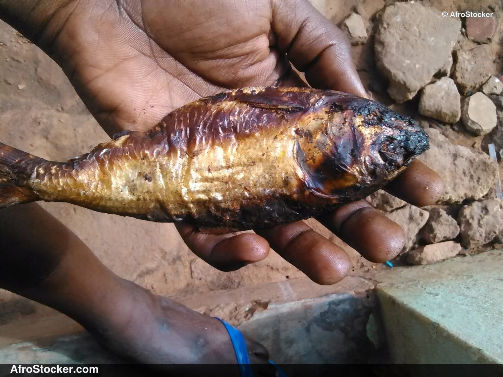 Dried Fish in African Village - AfroStocker