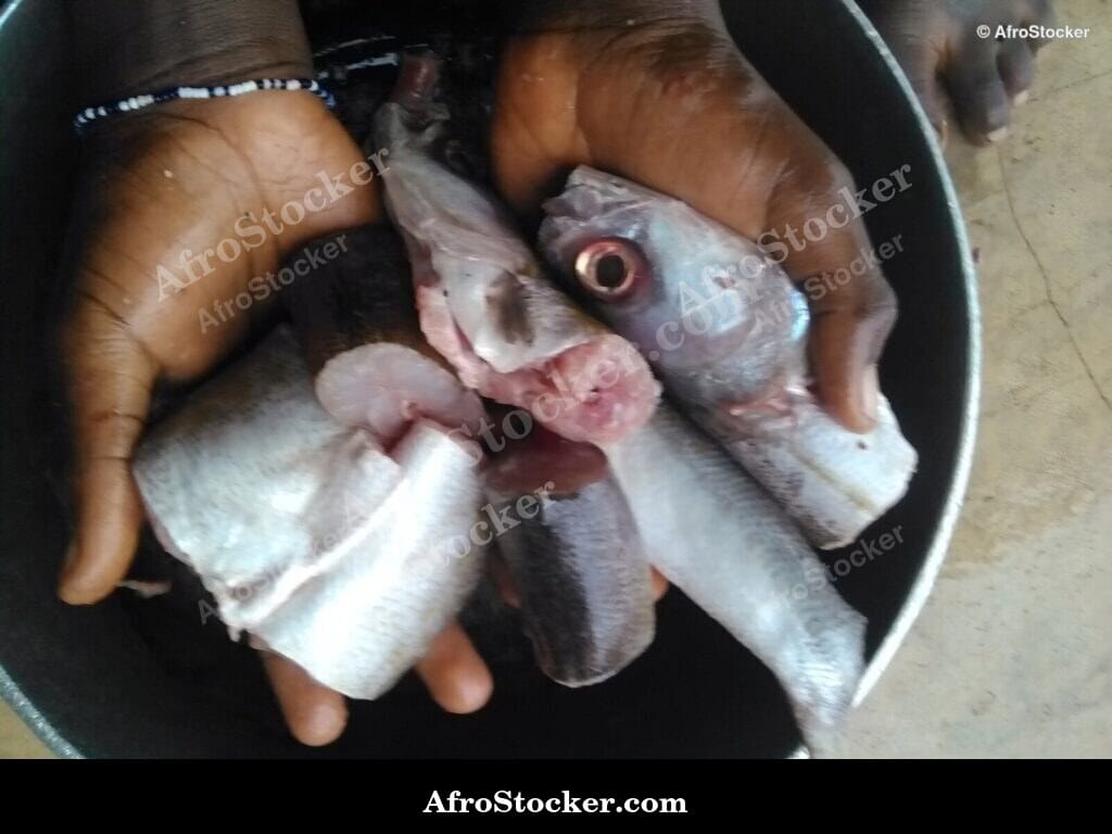 Fish Preparation in African Kitchen - AfroStocker