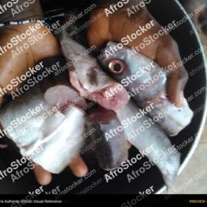 Fish Preparation in African Kitchen - AfroStocker