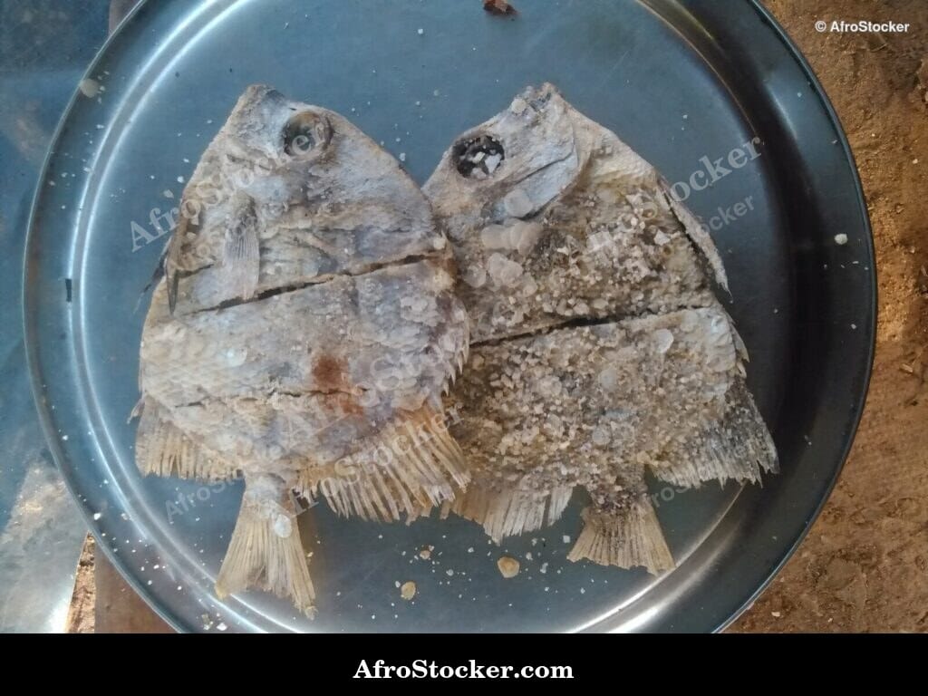 Preserved Fish Stack, Coastal Africa