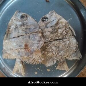 Preserved Fish Stack, Coastal Africa
