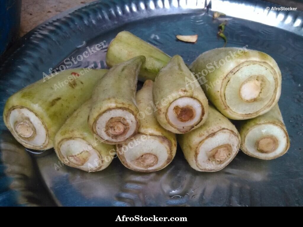 Okra Harvest, African Agricultural Products - AfroStocker