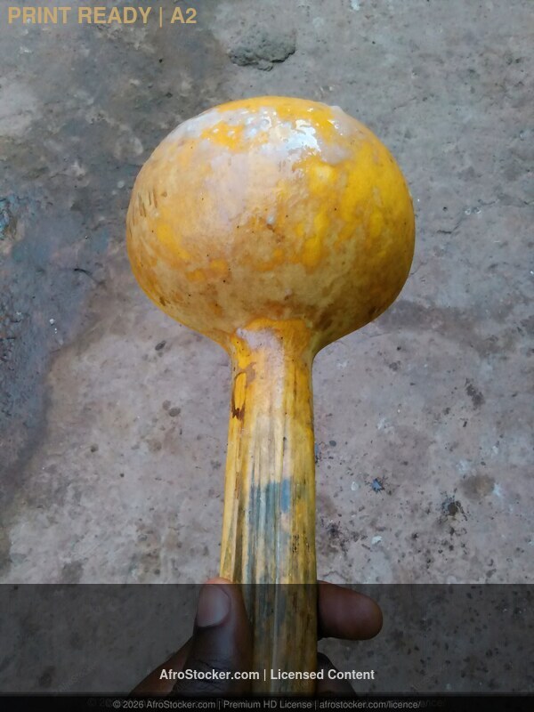 Print Calebasse Africaine — Artisanat Naturel Traditionnel
