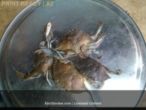 Print Crabes Africains — Peche Artisanale Afrique