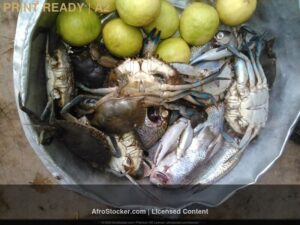 Print Crabes Frais Afrique — Ressources Marines