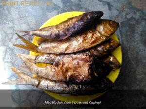Print Image Africaine HD — Collection Authentique AfroStocker