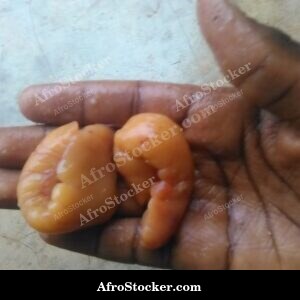 raw fish roe market west africa seafood