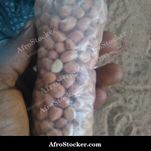 cashew apple nut ripe west africa
