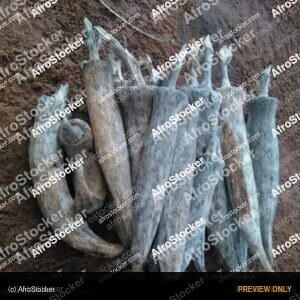 Dried Okra Seeds, African Agriculture - AfroStocker
