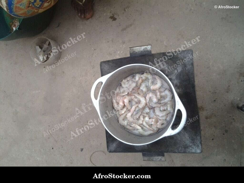 Shrimp Grilling Over Fire, Coastal Africa
