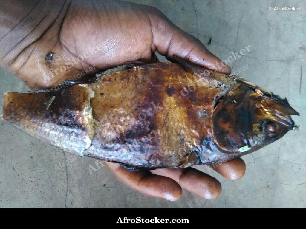 Single Smoked Fish, Whole Africa