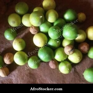 Sliced Lemon, Fresh Juice Africa