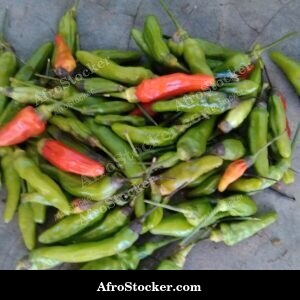 Small Hot Chili Peppers, African Spice
