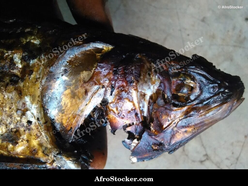 smoked fish head west african sauce ingredient
