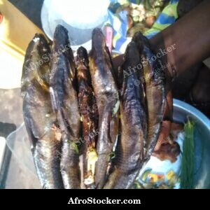 Sun-Dried Fish on Rack, West Africa
