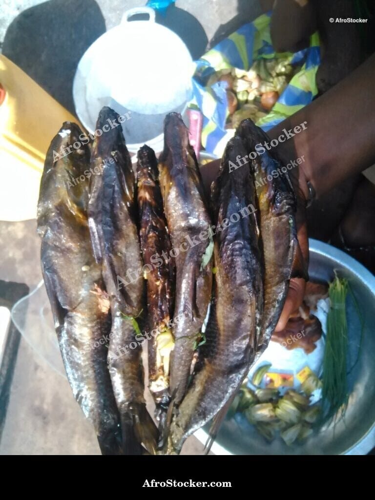 Sun-Dried Fish on Rack, West Africa