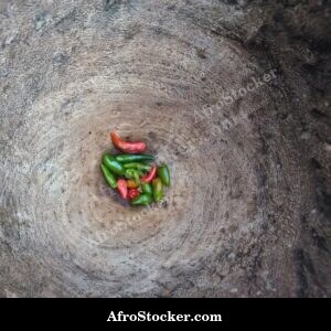 Traditional Wooden Mortar and Pestle, Africa