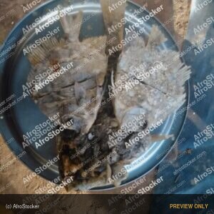 Dried Fish Vendor, African Street Market - AfroStocker