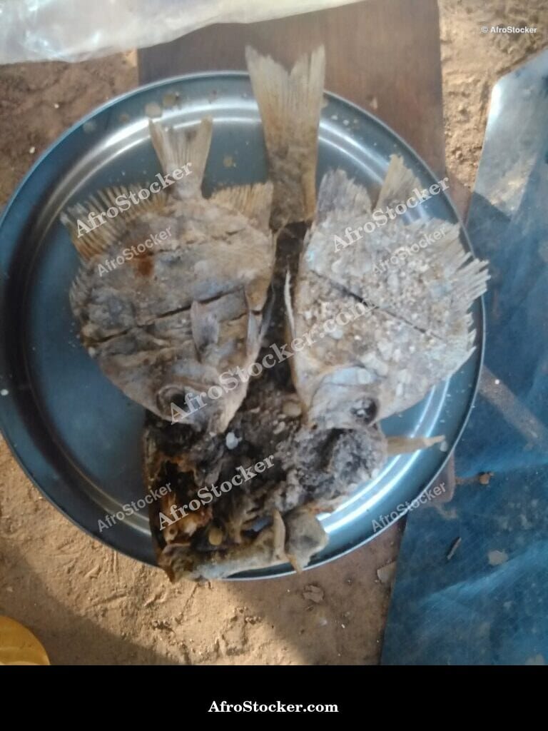 Dried Fish Vendor, African Street Market - AfroStocker