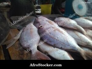 Fish Sale, West African Coastal Market