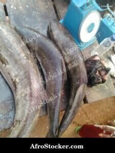 Fish Vendor, Traditional African Market