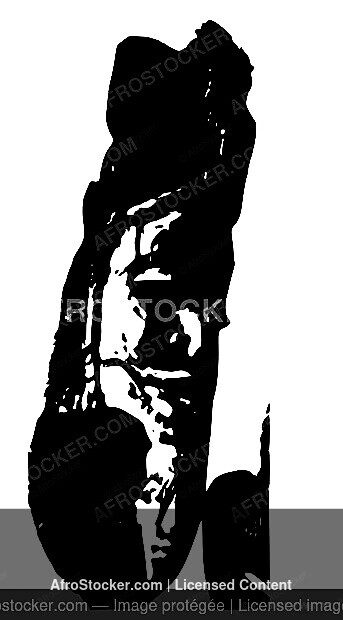 Wall Art B&W - Masque Ritual Africain — Heritage Spirituel Afrique Wall Art B&W Masque Ritual Africain — Heritage Spirituel Afrique
