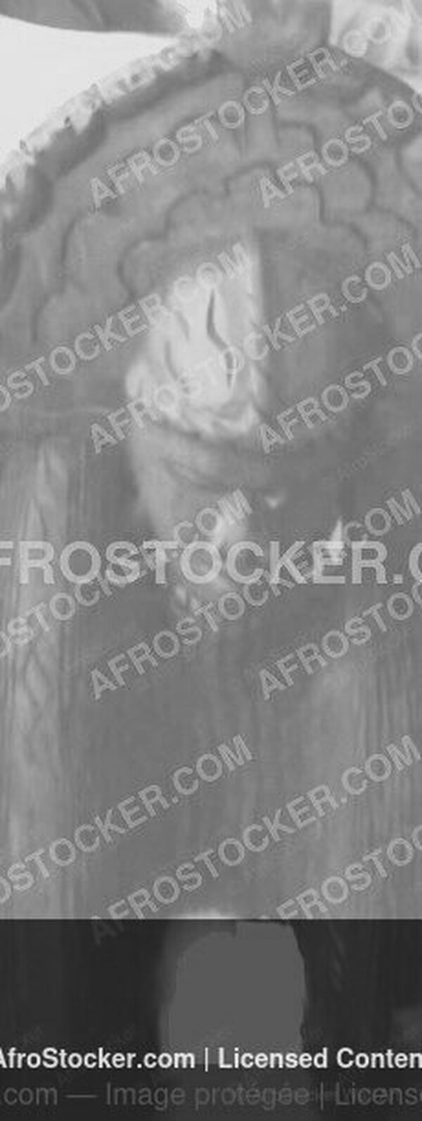 Wall Art Gold - Masque Africain Noir et Blanc — Portrait Artistique Wall Art Gold Masque Africain Noir et Blanc — Portrait Artistique