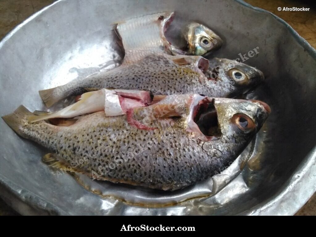 Whole Fish Grilled Over Coals, Africa