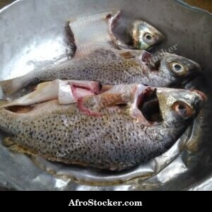 Whole Fish Grilled Over Coals, Africa