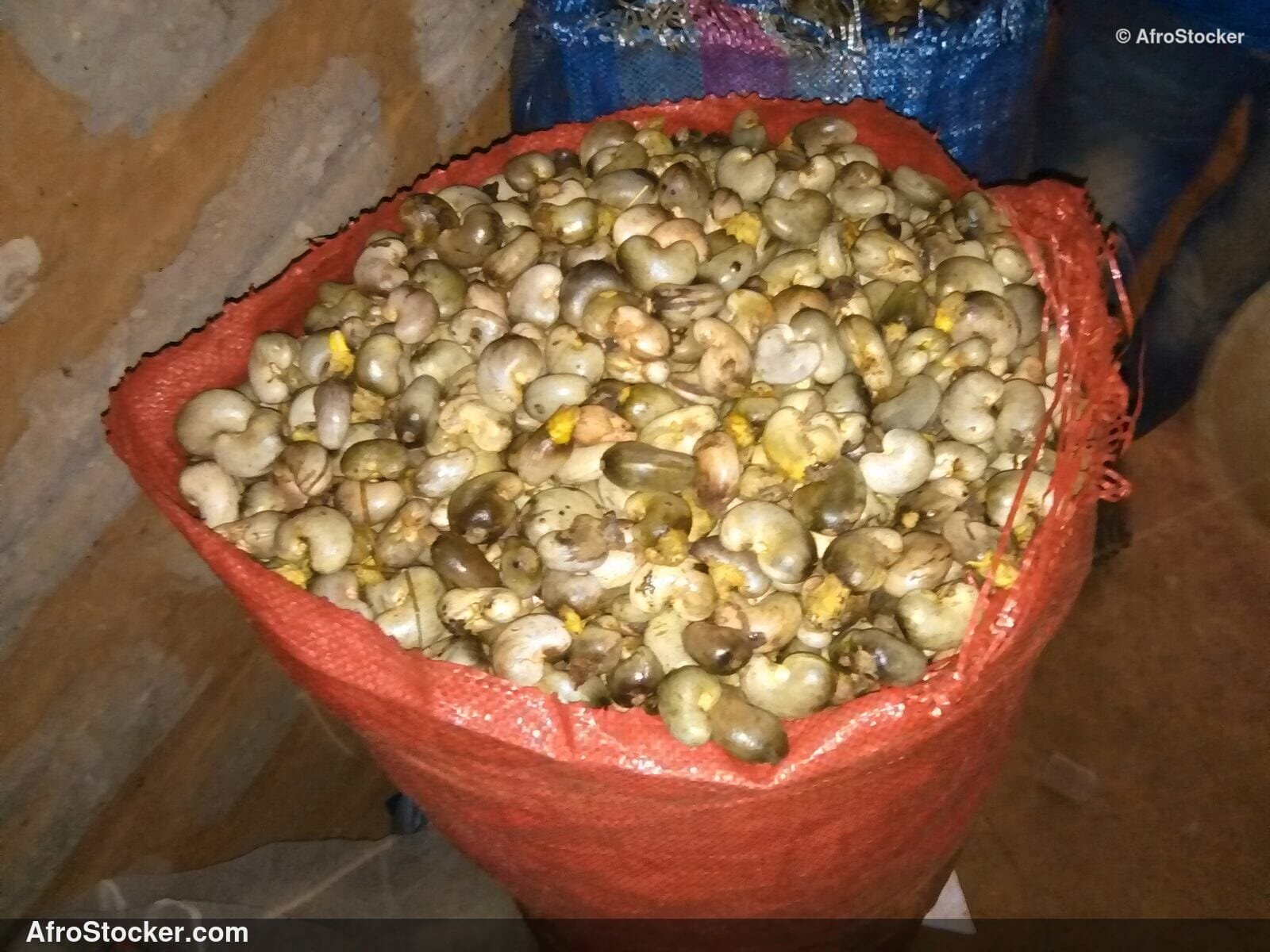Cashew Nuts Pile West Africa | AfroStocker