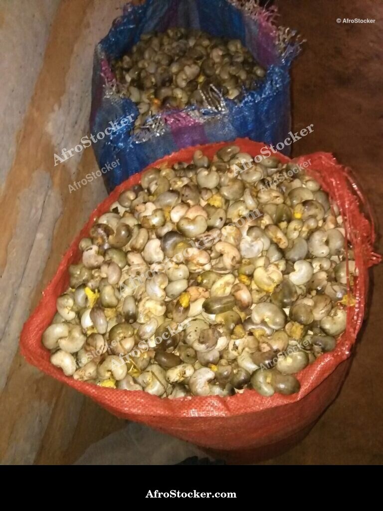 Cashew Fruit Africa Market | AfroStocker