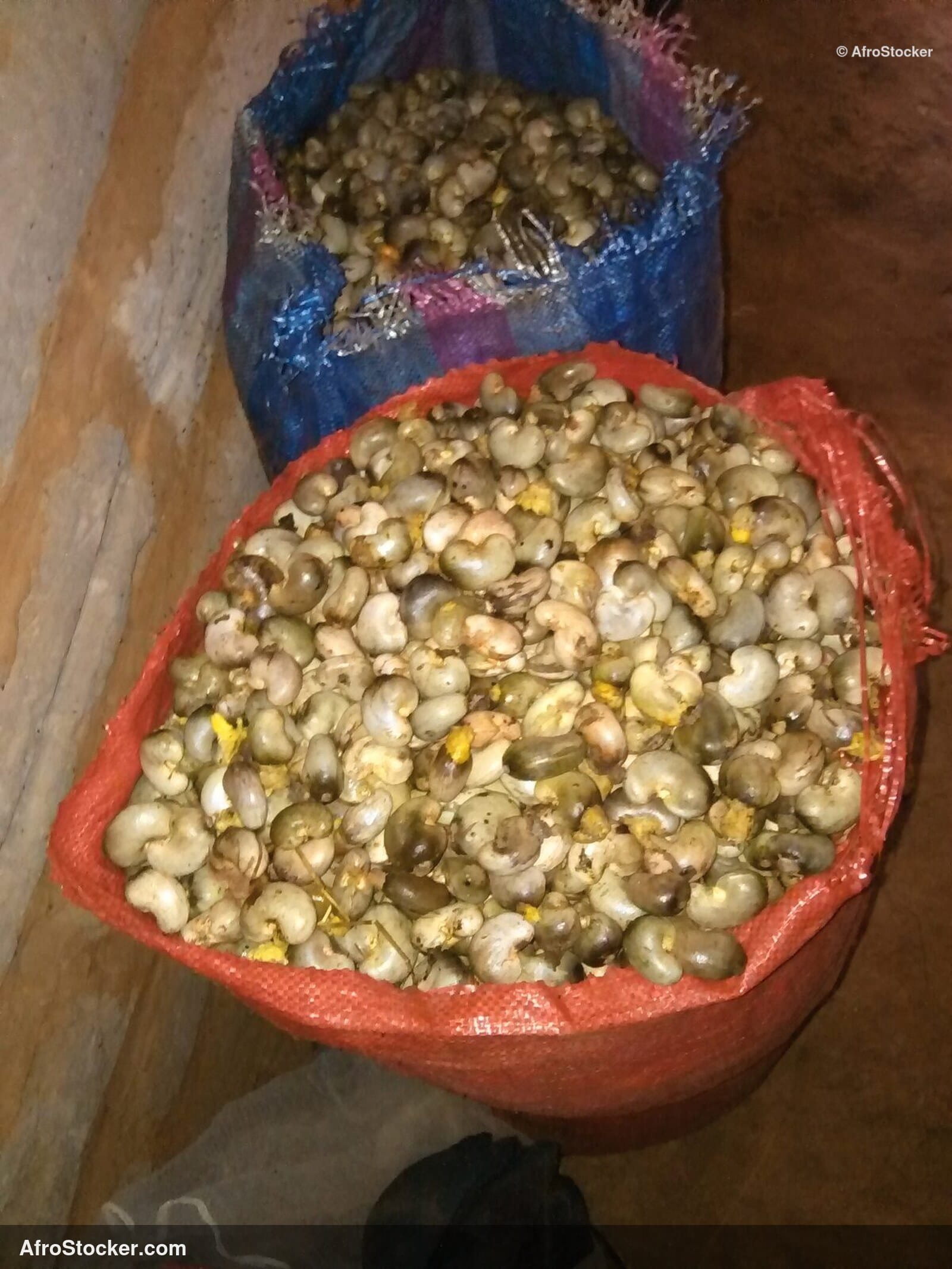 Cashew Fruit Africa Market | AfroStocker
