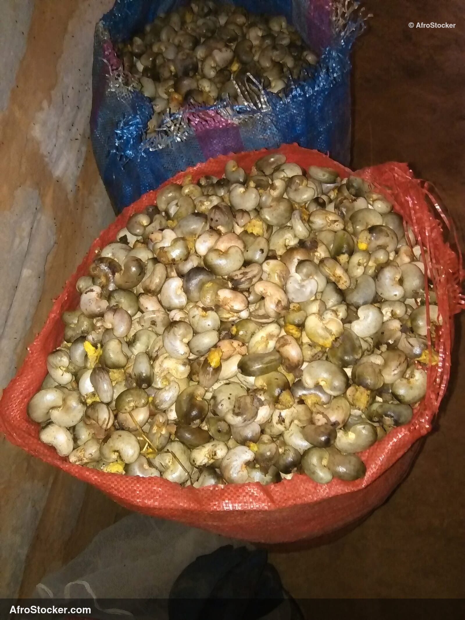 Cashew Nuts In Hand Africa | AfroStocker
