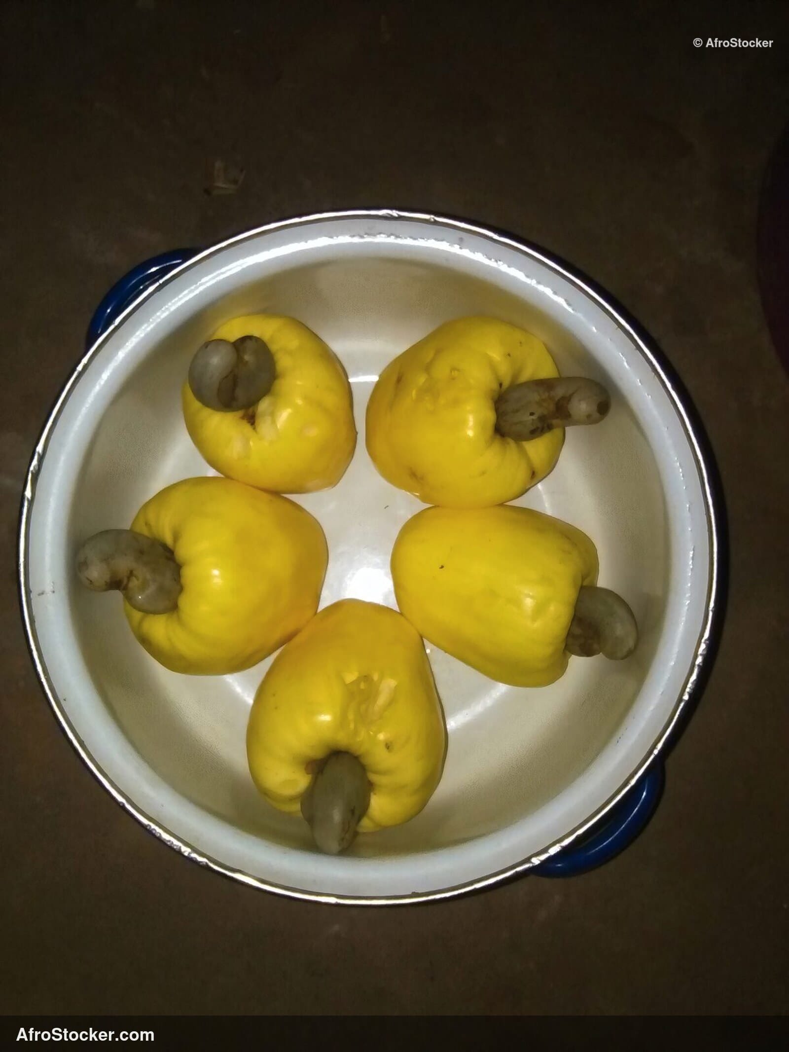 Fresh Cashew Nuts Harvest Africa | AfroStocker
