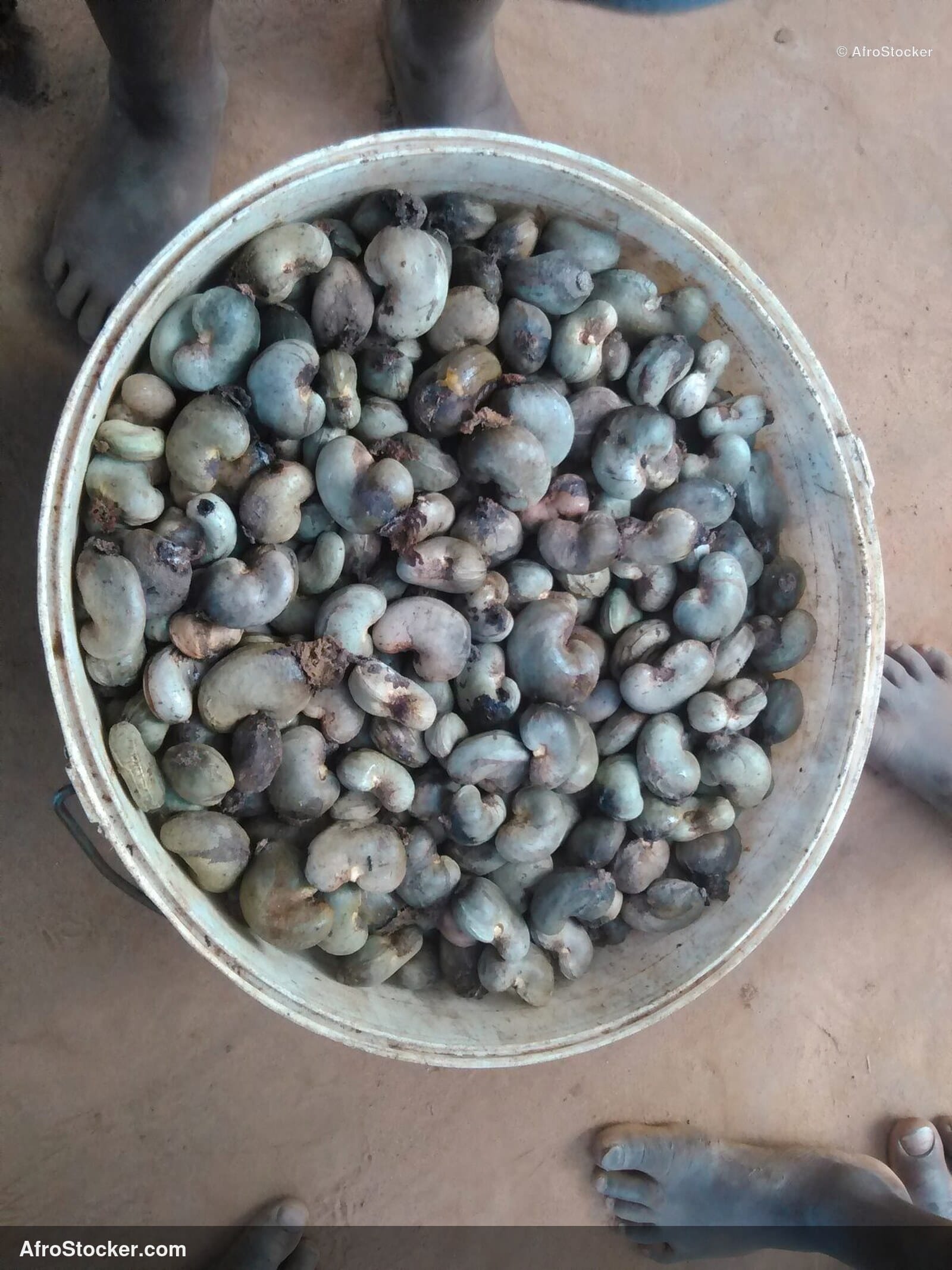 Cashew Nuts Ground Africa | AfroStocker