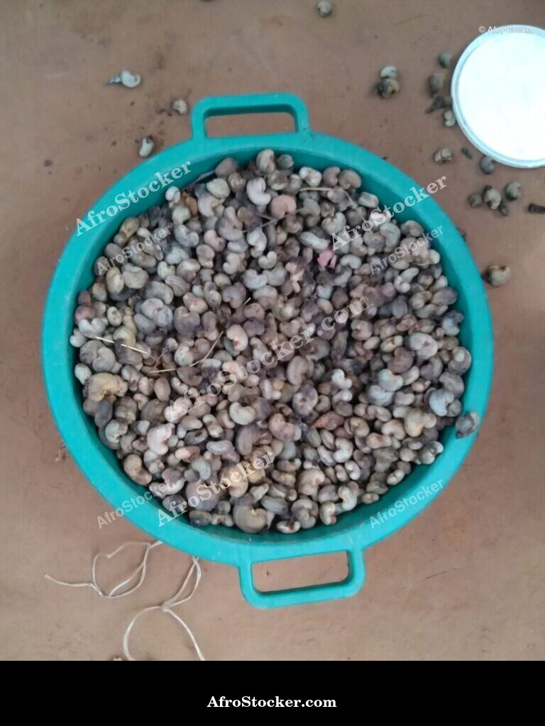 Cashew Nuts Basket Africa | AfroStocker