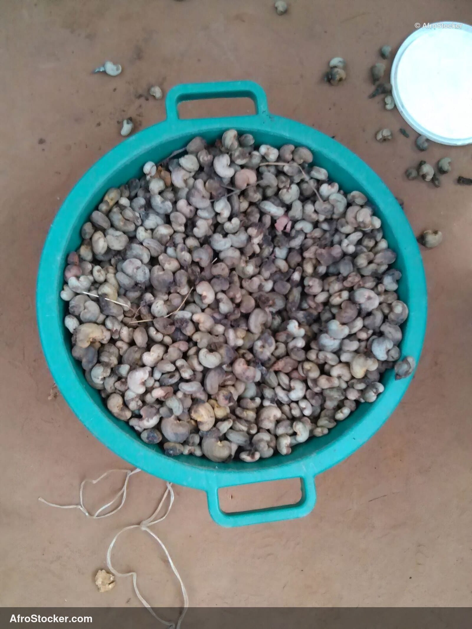 Cashew Nuts Basket Africa | AfroStocker