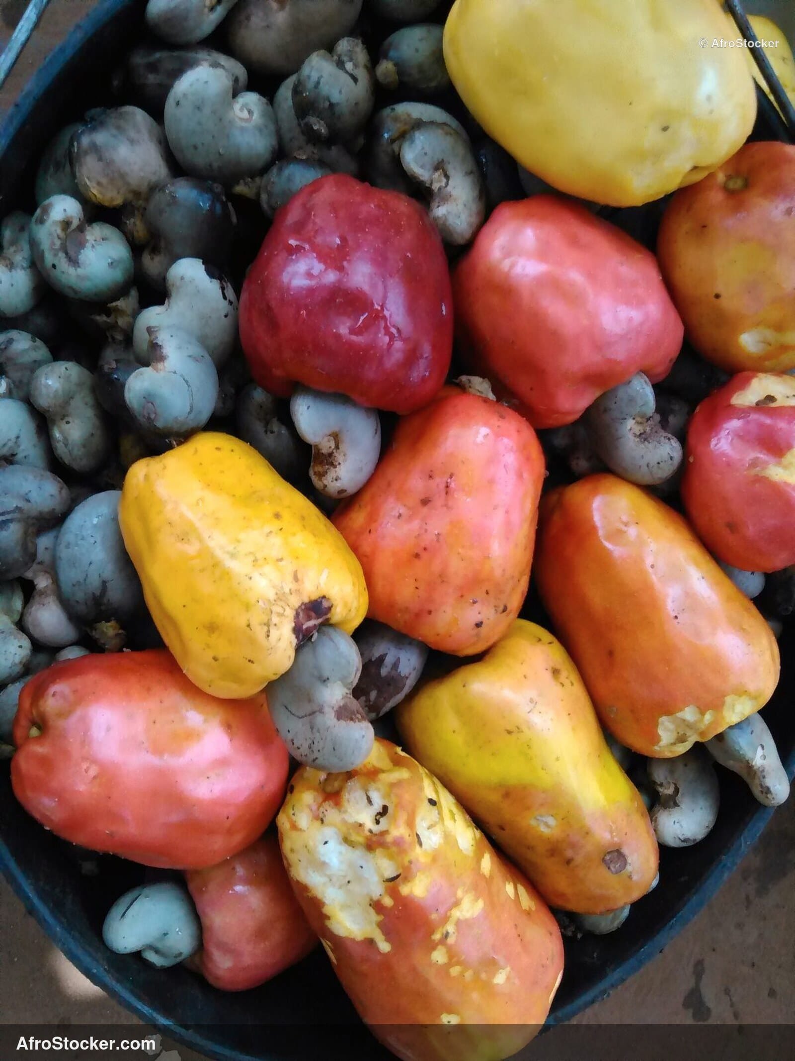 Cashew Fruit Fallen Ground Africa | AfroStocker