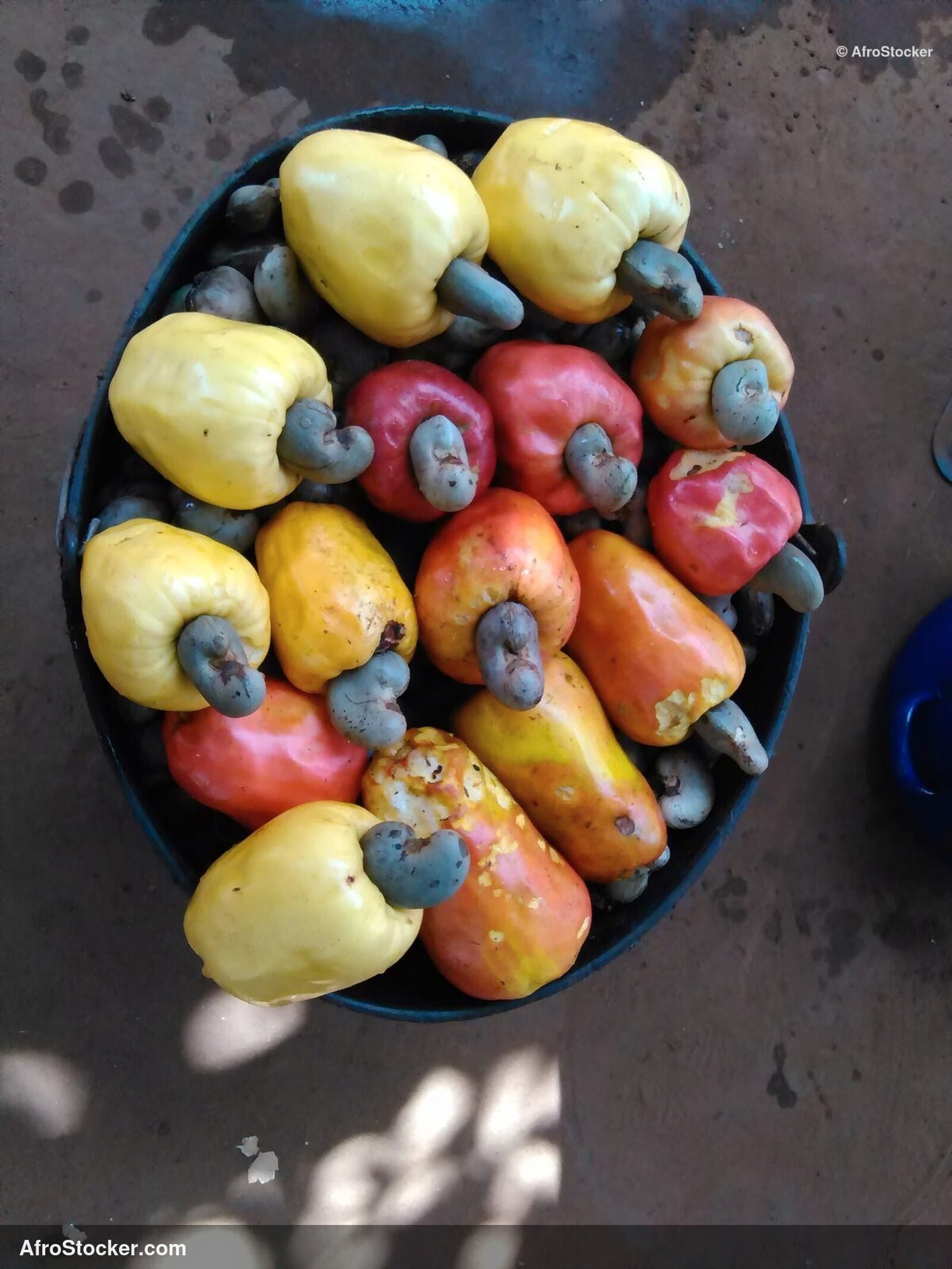 Cashew Nuts Scattered Africa | AfroStocker
