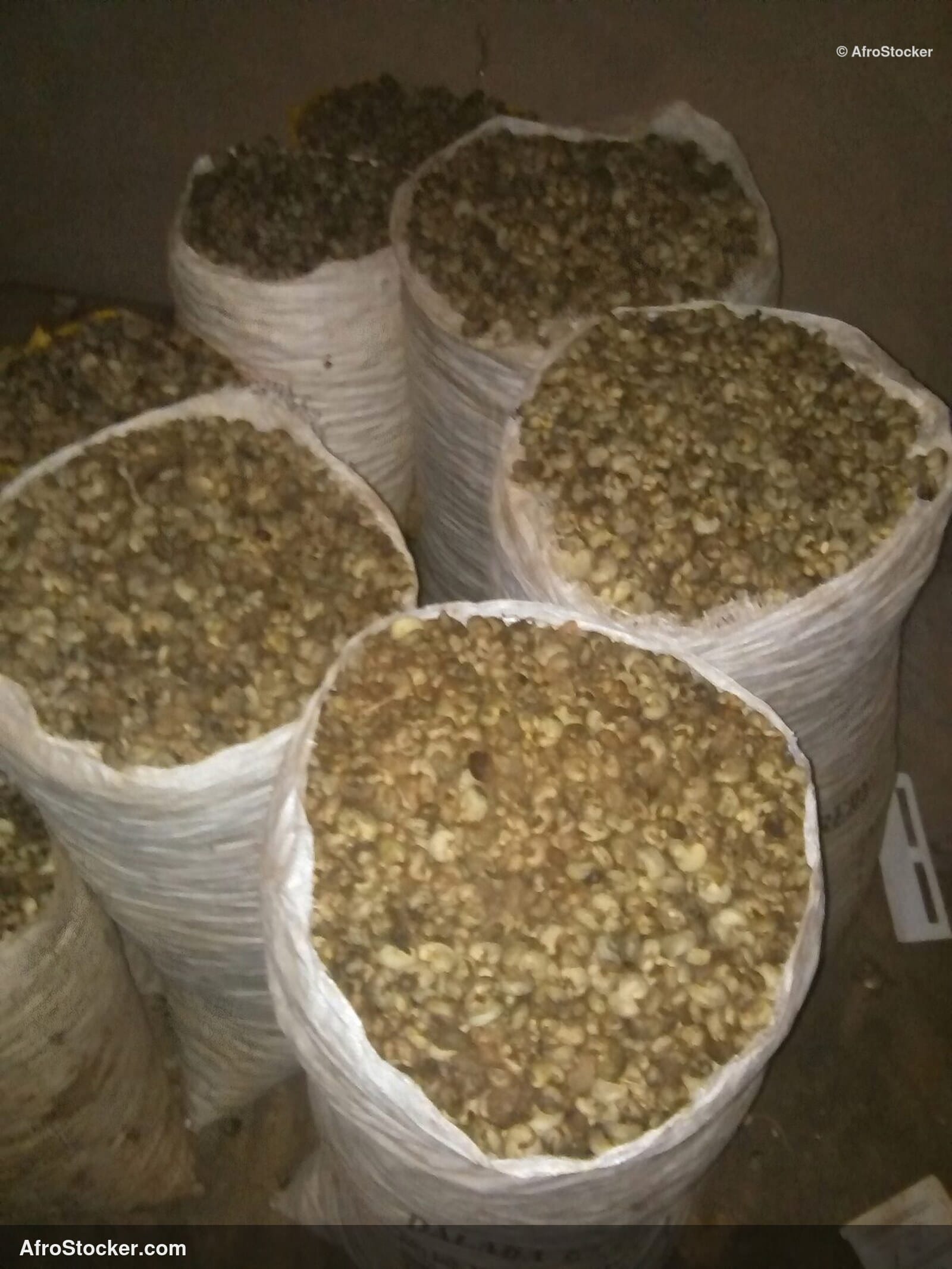 Cashew Nuts Collected Africa | AfroStocker
