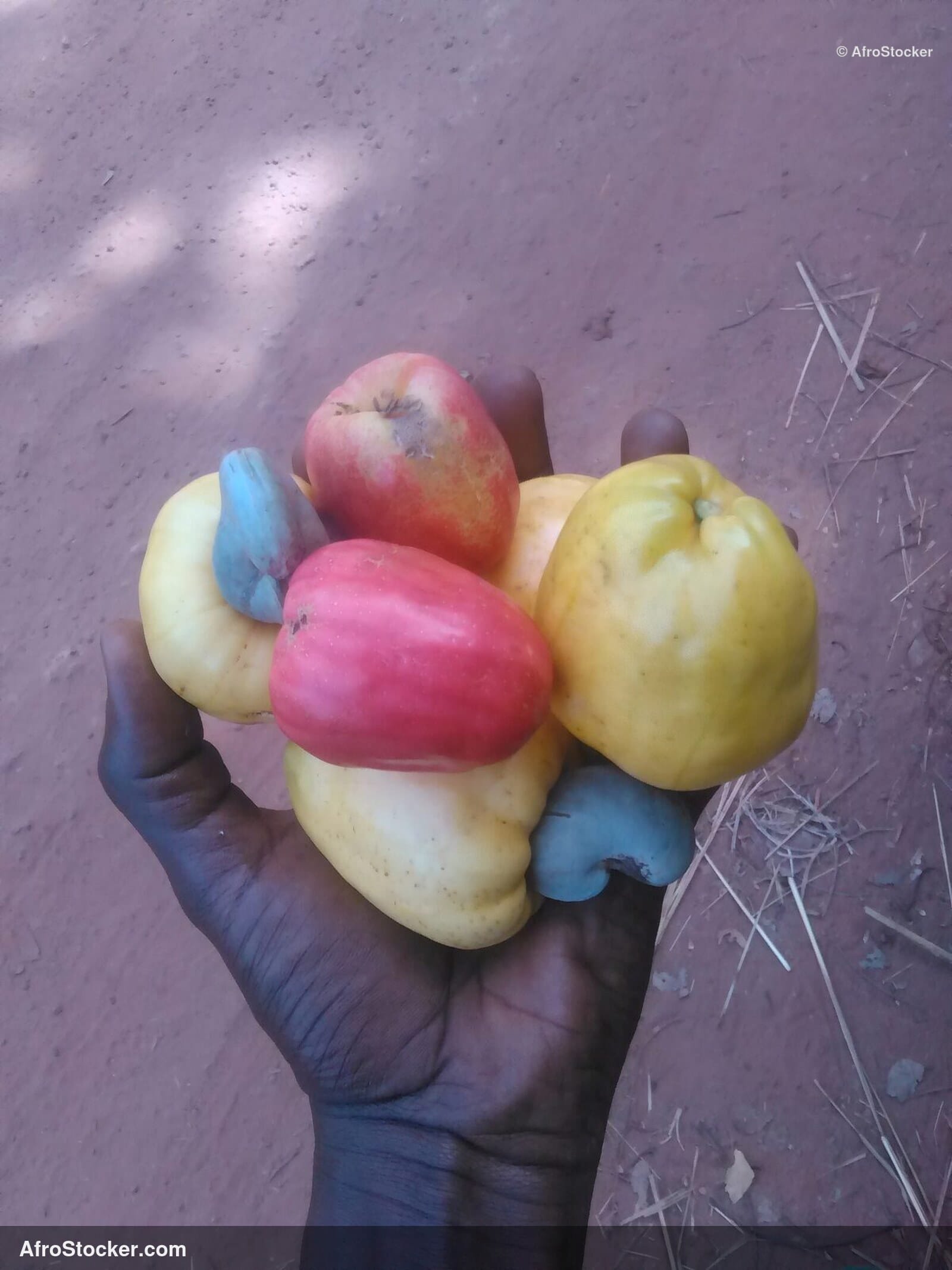 Cashew Harvest Basket West Africa | AfroStocker