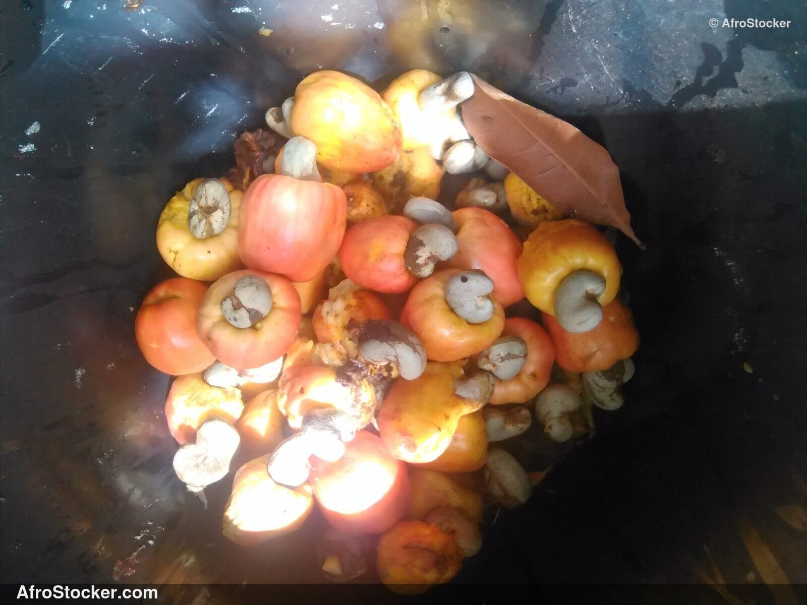 Cashew Fruit Stem Africa | AfroStocker